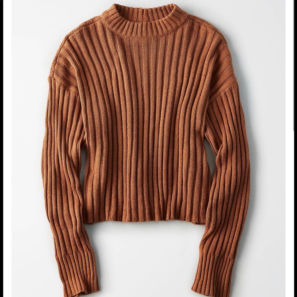 AEO cropped rib sweater